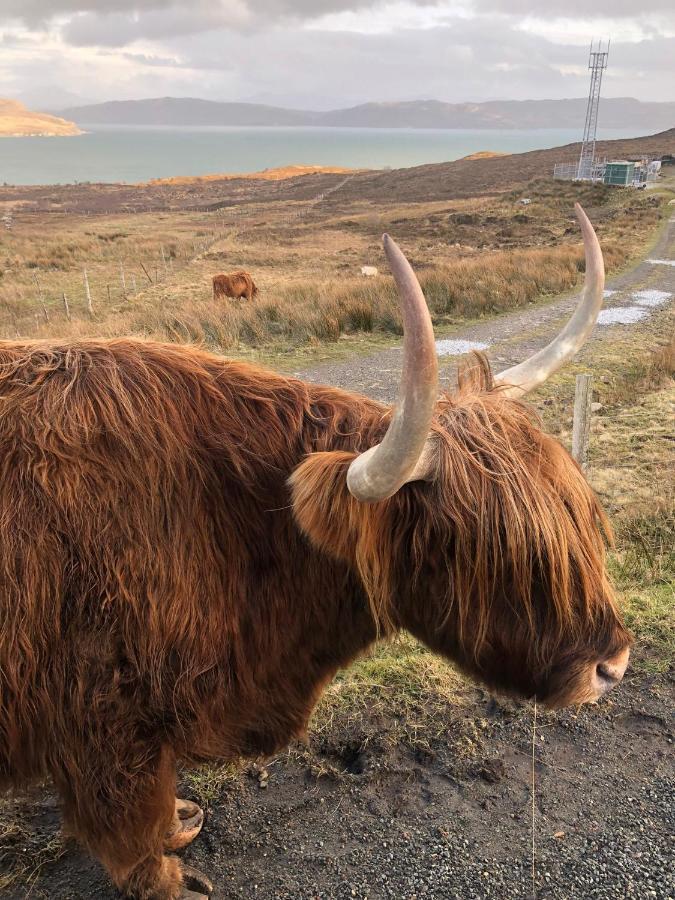 Tiny Home In Isle Of Skye-Pet Friendly Elgol Zewnętrze zdjęcie