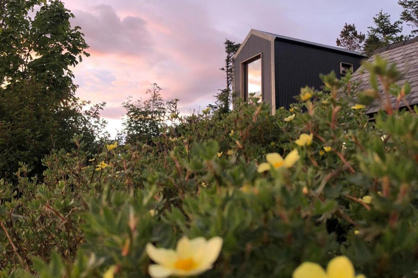 Tiny Home In Isle Of Skye-Pet Friendly Elgol Zewnętrze zdjęcie